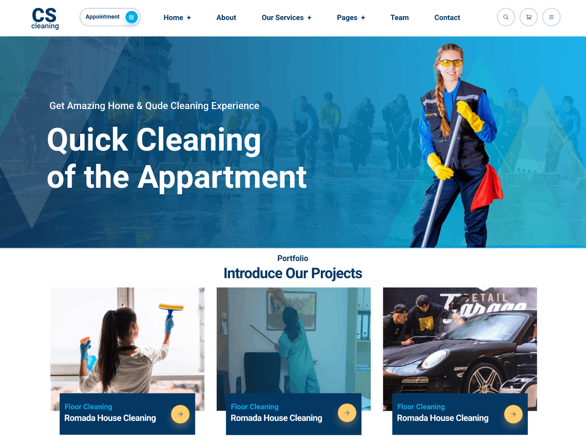 Cleaner Agency Service